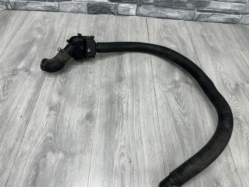 Патрубок, Москва