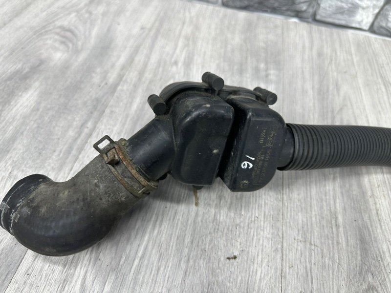 Патрубок, Москва