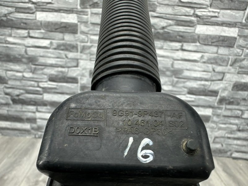 Патрубок, Москва