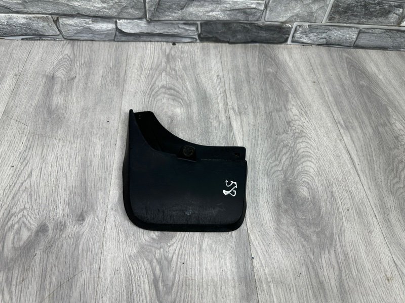 Брызговик, 1000 рублей, Москва