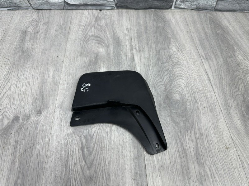 Брызговик, 1000 рублей, Москва