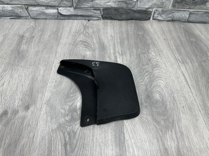 Брызговик, 1000 рублей, Москва