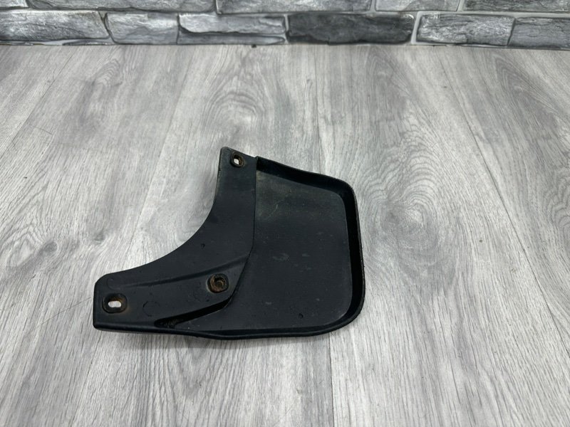 Брызговик, 1000 рублей, Москва