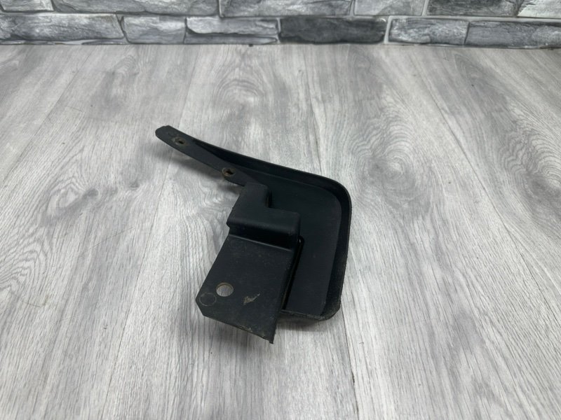 Брызговик, 1000 рублей, Москва