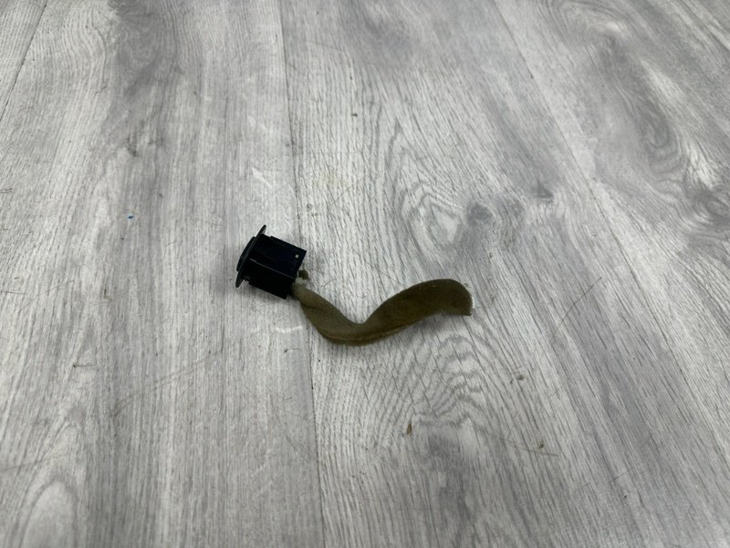 Кнопка, Москва