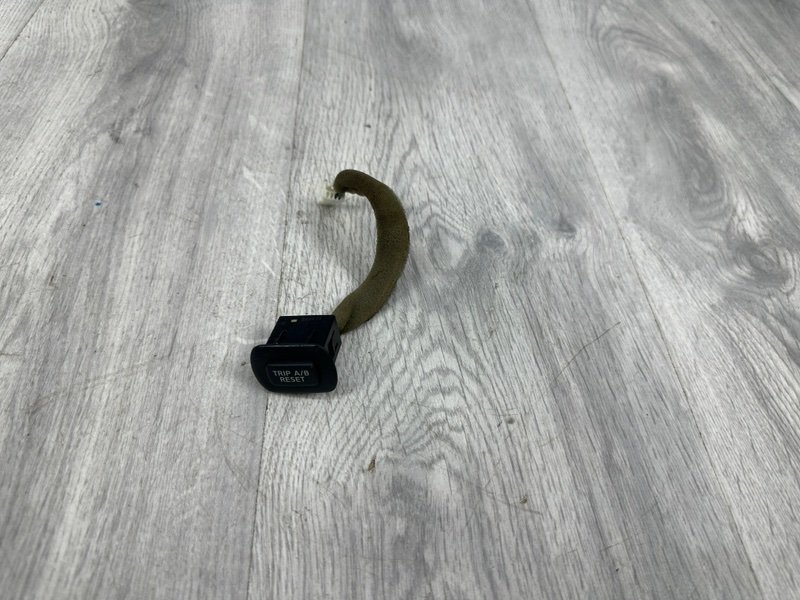 Кнопка, Москва