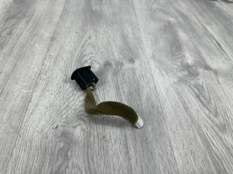 Кнопка, Москва