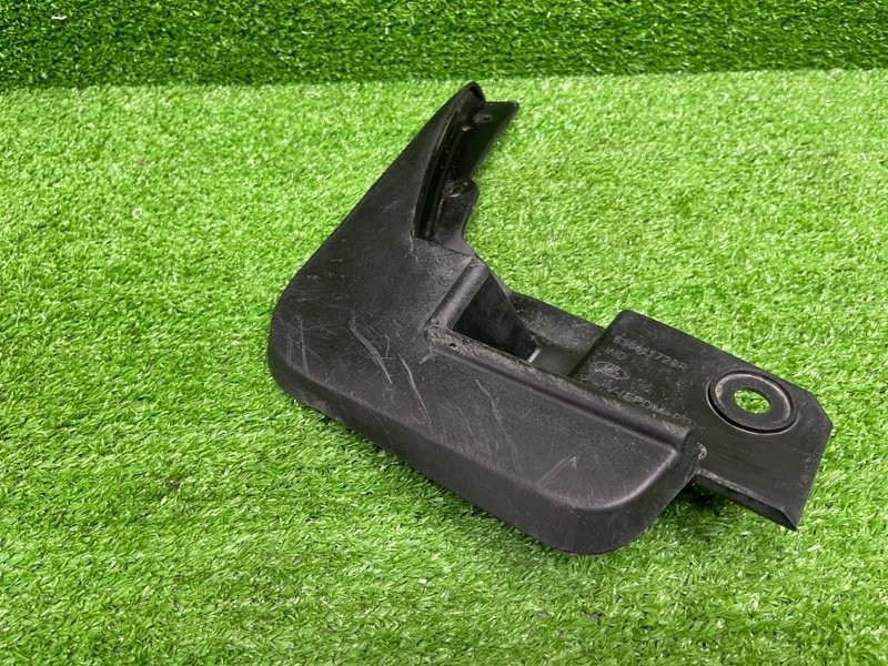 Брызговик, 1000 рублей, Москва