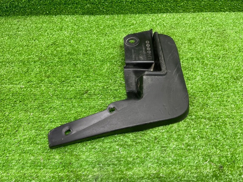 Брызговик, 1000 рублей, Москва