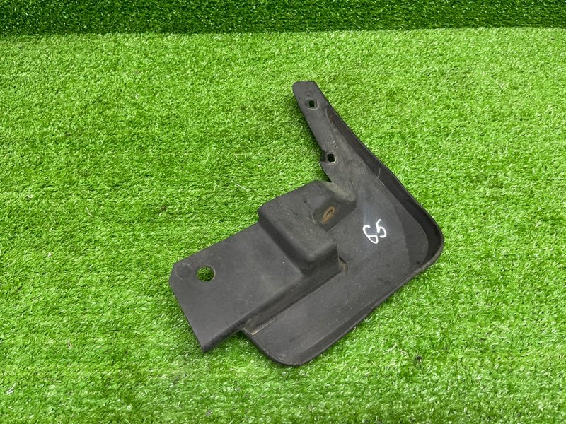 Брызговик, 1000 рублей, Москва