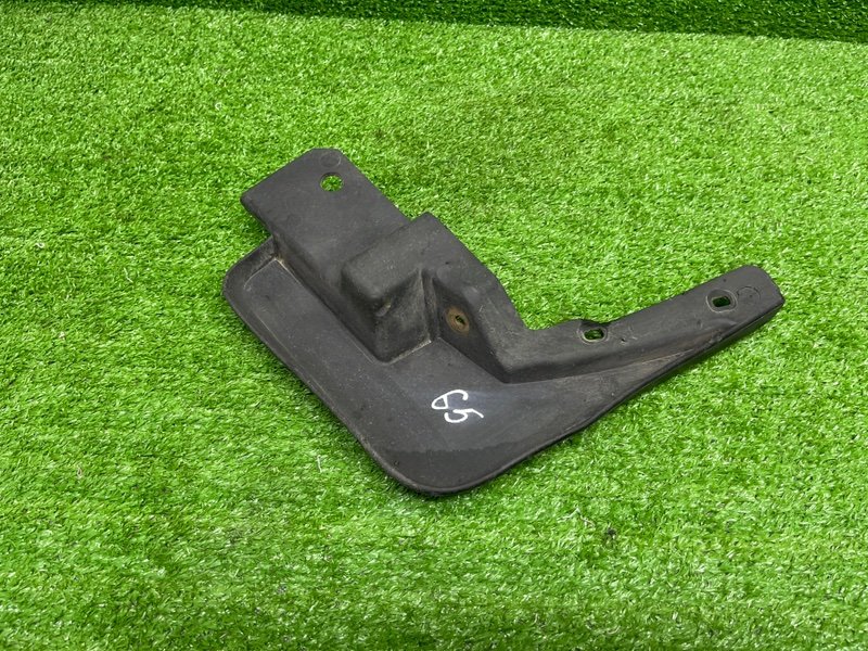 Брызговик, 1000 рублей, Москва