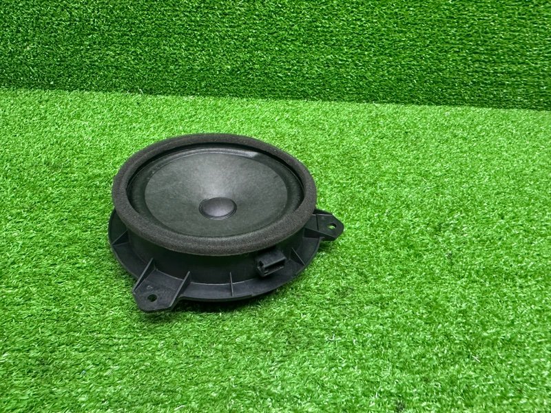 Динамик, 1000 рублей, Москва