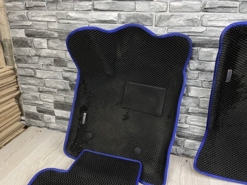 Коврик салона, Москва