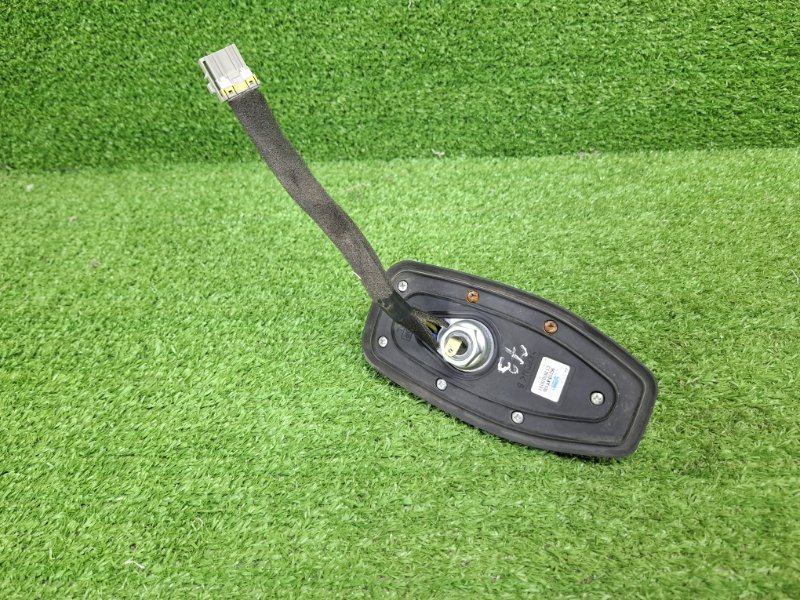 Антенна, 5000 рублей, Москва