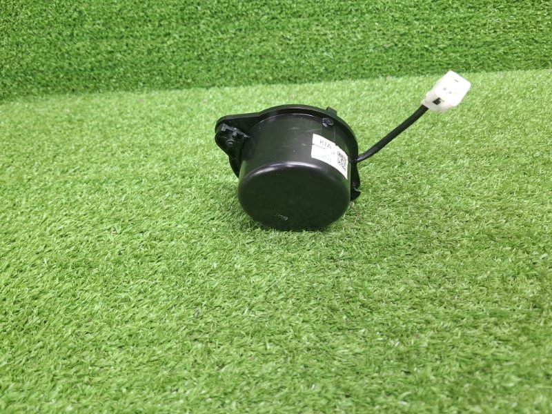 Динамик, 500 рублей, Москва