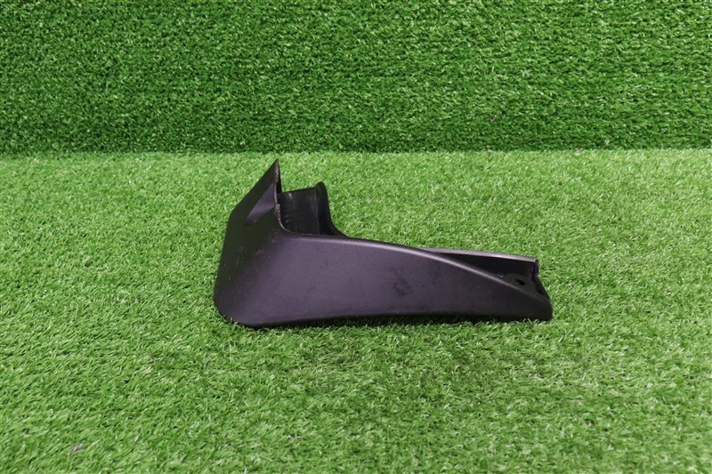 Брызговик, 1000 рублей, Москва