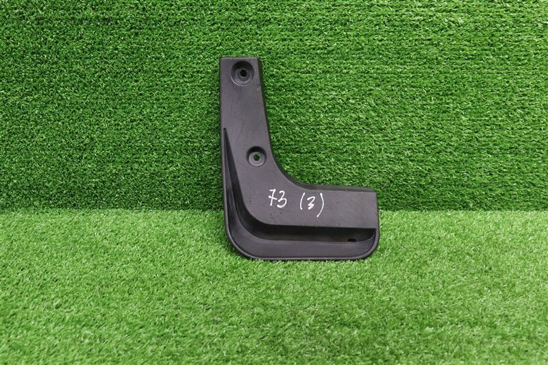 Брызговик, 1000 рублей, Москва