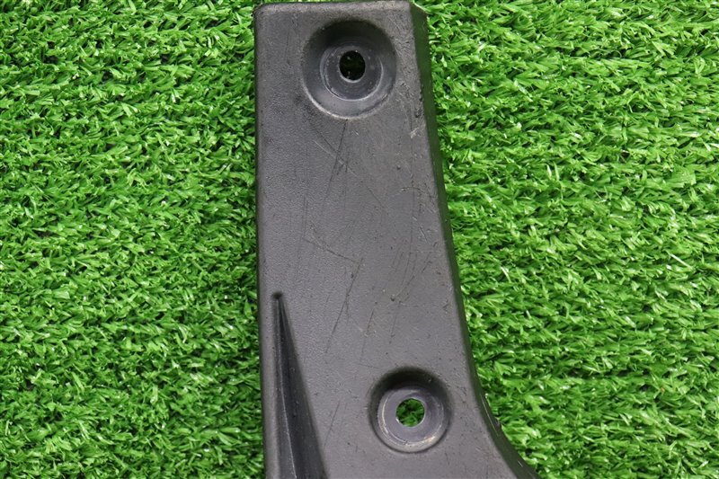 Брызговик, 1000 рублей, Москва