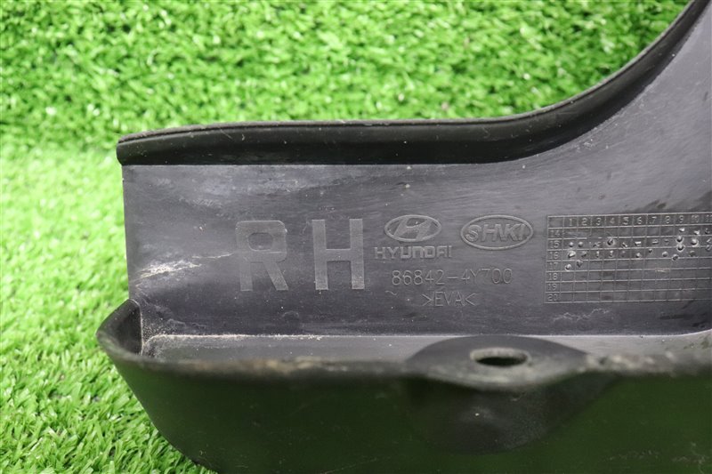 Брызговик, 1000 рублей, Москва