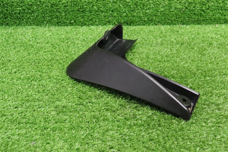 Брызговик, 1000 рублей, Москва