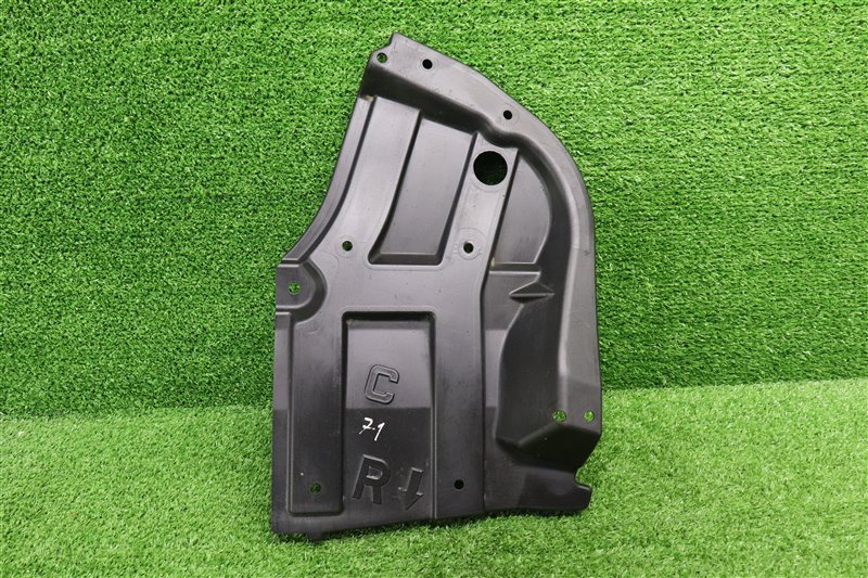 Пыльник, 1000 рублей, Москва