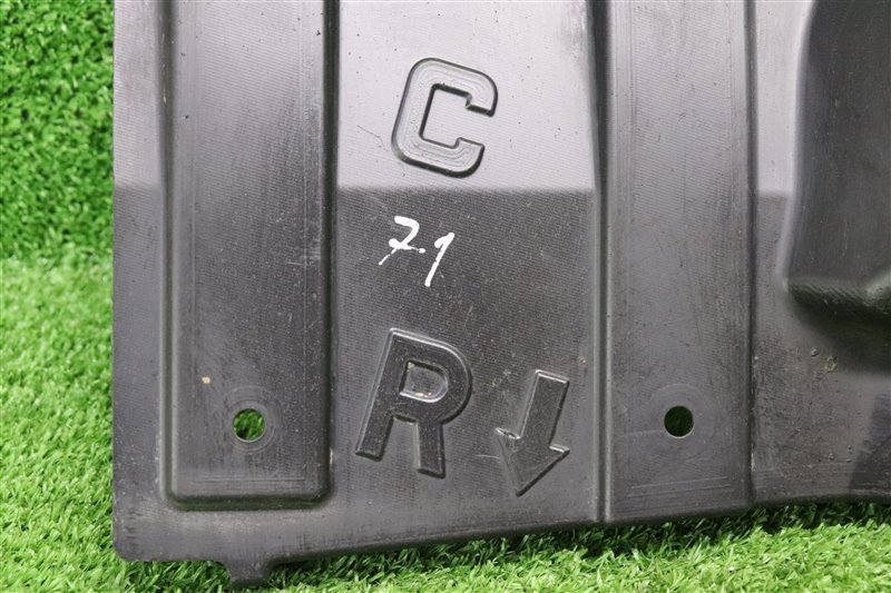 Пыльник, 1000 рублей, Москва