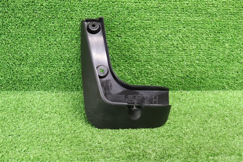 Брызговик, 1000 рублей, Москва