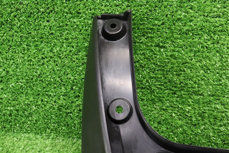 Брызговик, 1000 рублей, Москва