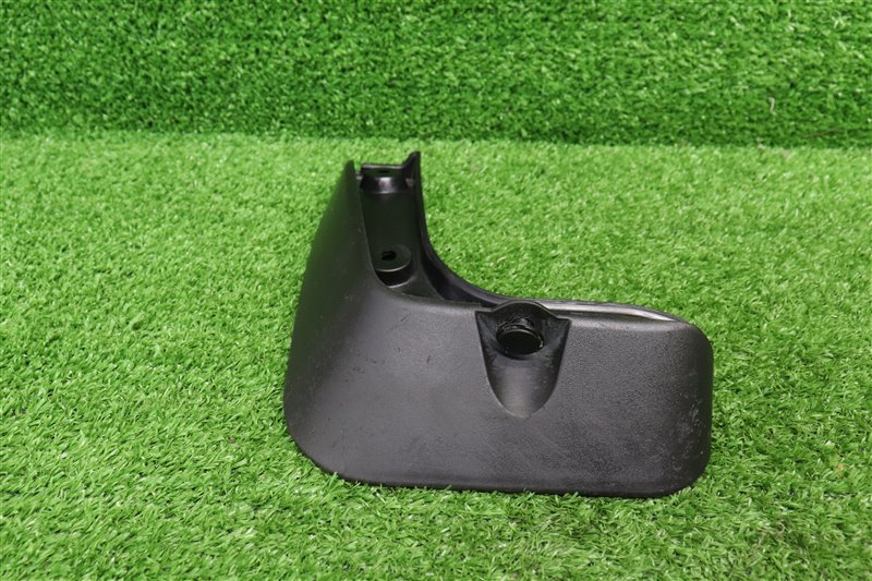 Брызговик, 1000 рублей, Москва