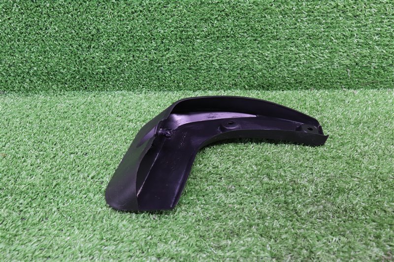 Брызговик, 1000 рублей, Москва