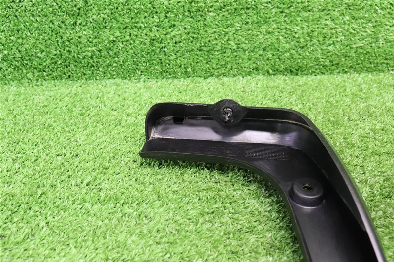 Брызговик, 1000 рублей, Москва