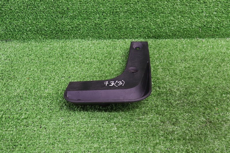 Брызговик, 1000 рублей, Москва