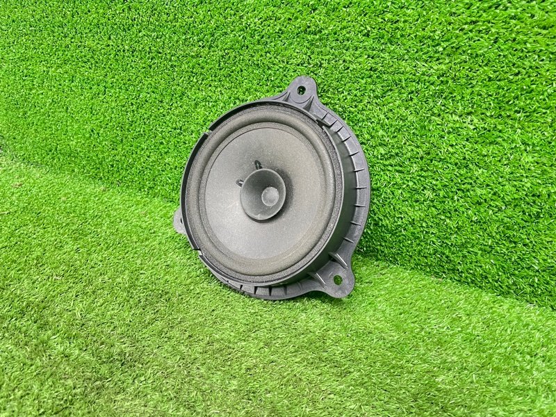 Динамик, 1000 рублей, Москва