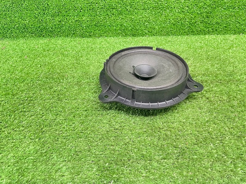 Динамик, 1000 рублей, Москва