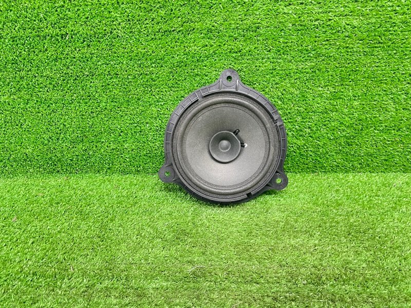 Динамик, 1000 рублей, Москва