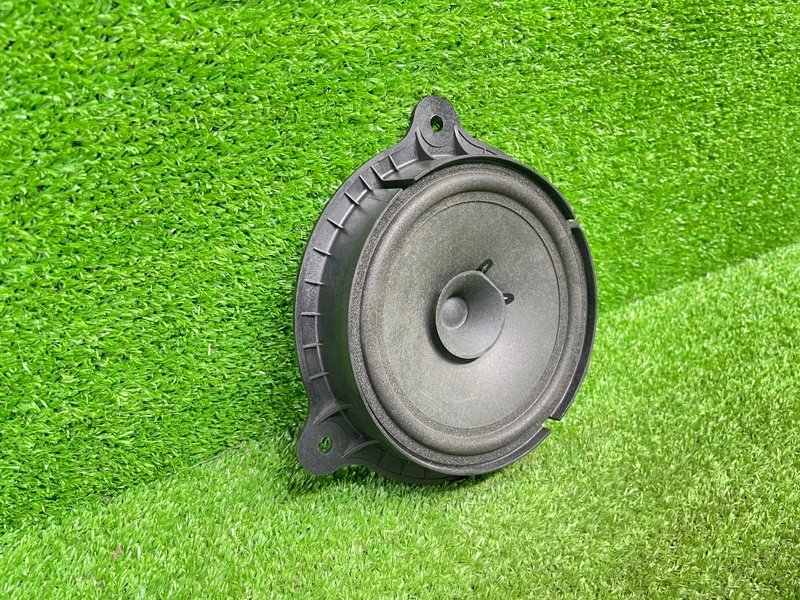 Динамик, 1000 рублей, Москва