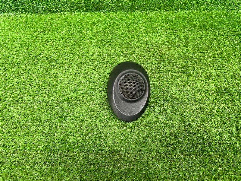 Динамик, 1000 рублей, Москва