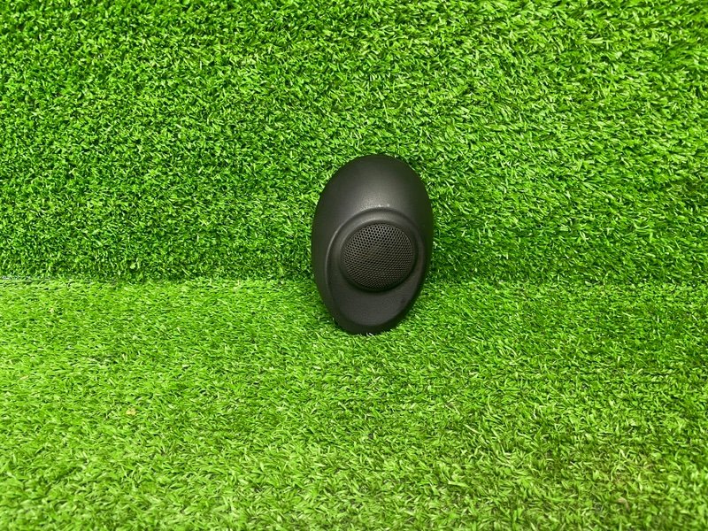 Динамик, 1000 рублей, Москва