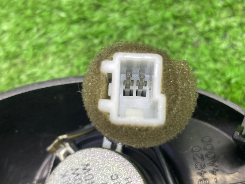 Динамик, 1000 рублей, Москва