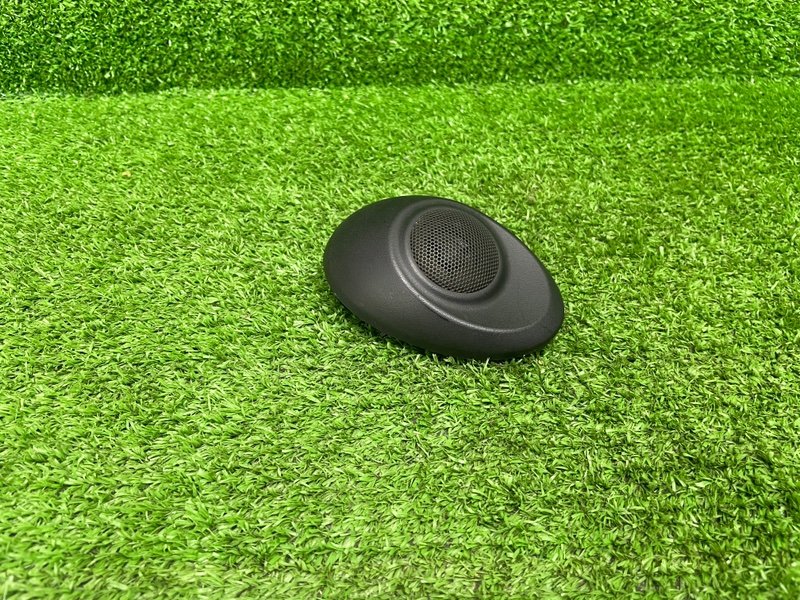 Динамик, 1000 рублей, Москва