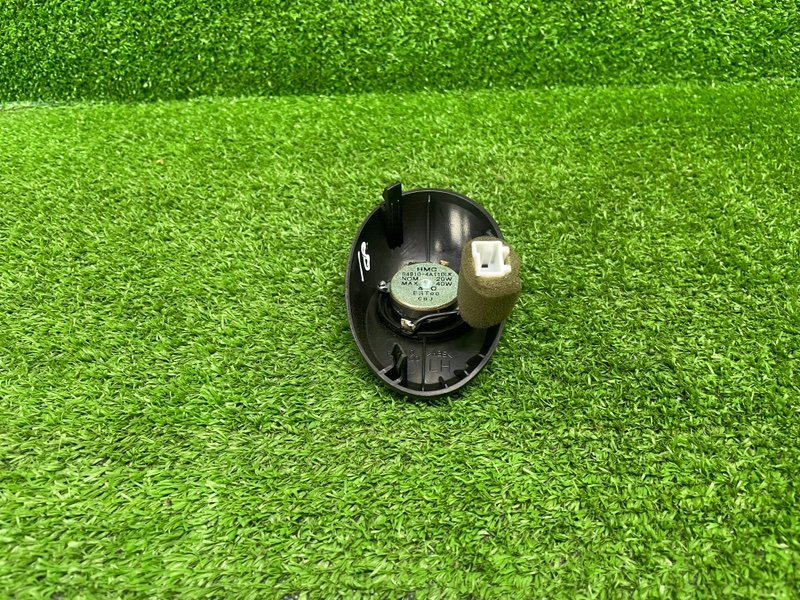 Динамик, 1000 рублей, Москва