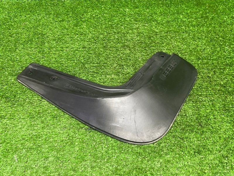 Брызговик, 1000 рублей, Москва