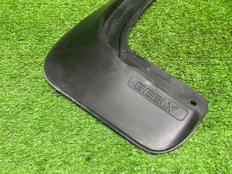 Брызговик, 1000 рублей, Москва