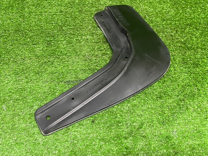 Брызговик, 1000 рублей, Москва