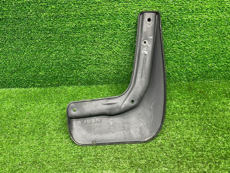 Брызговик, 1000 рублей, Москва