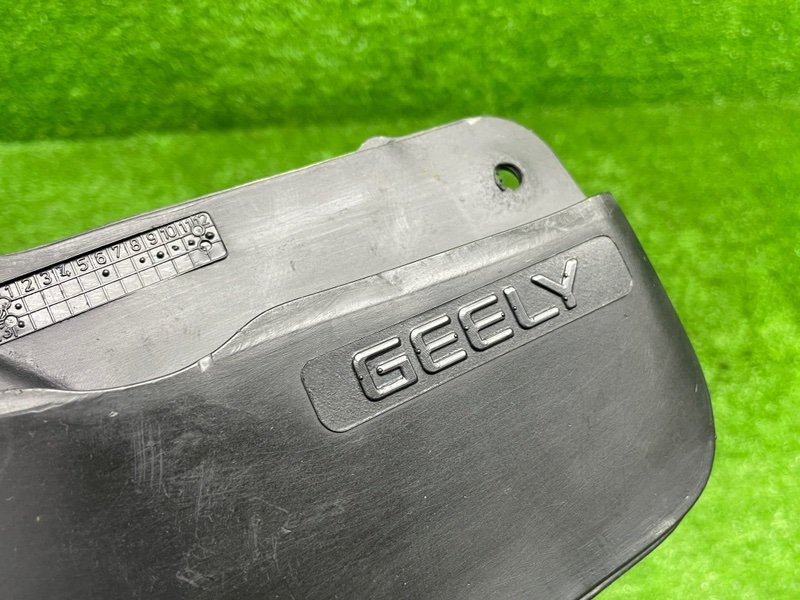 Брызговик, 1000 рублей, Москва