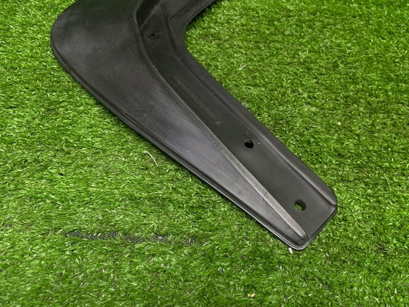 Брызговик, 1000 рублей, Москва