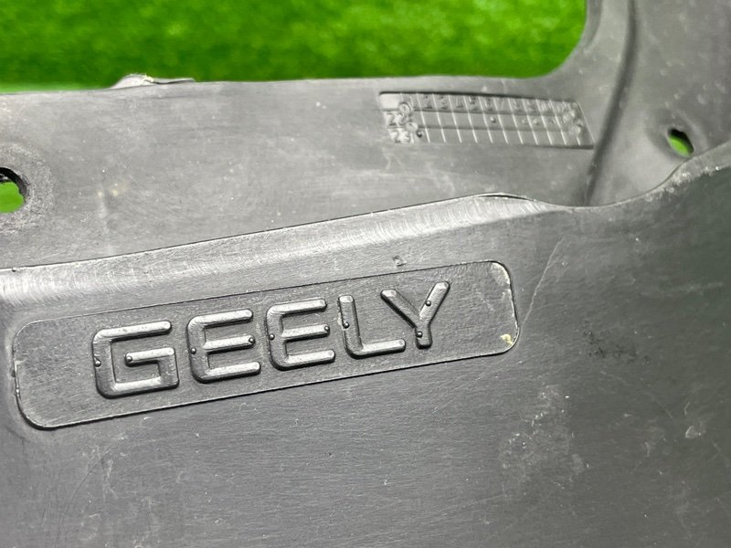 Брызговик, 1000 рублей, Москва