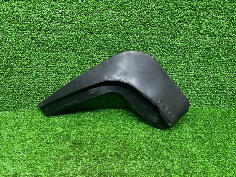 Брызговик, 1000 рублей, Москва