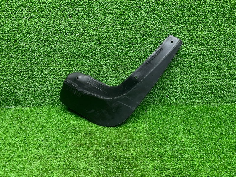 Брызговик, 1000 рублей, Москва